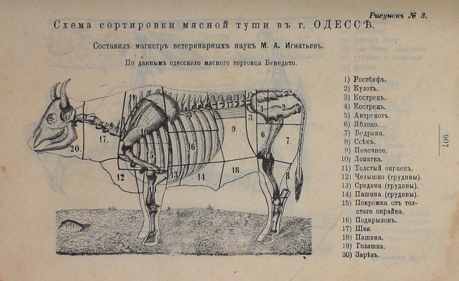 Александрова-Игнатьева П.П. Практические основы кулинарного искусства. Руководство для кулин. шк. и для самообучения. С прил. крат. попул. курса мясоведения магистра вет. наук М.А. Игнатьева. 10-е изд. СПб.: Тип. Я. Трей, 1914.